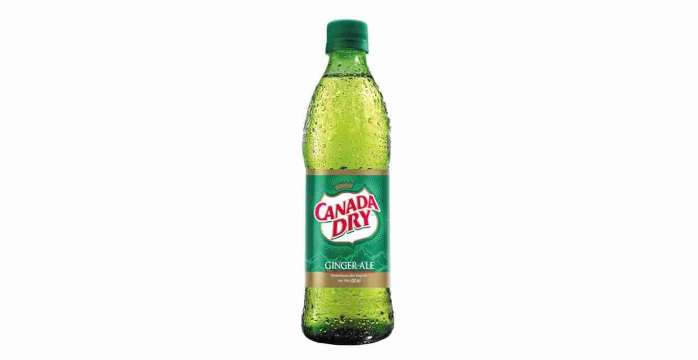 Imagen del productoGINGER PERSONAL 300Ml