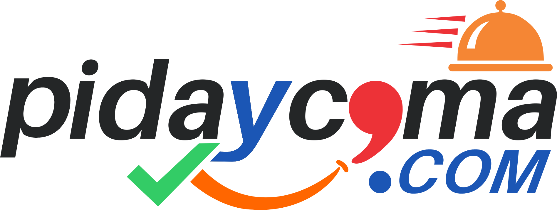 pidaycoma.com